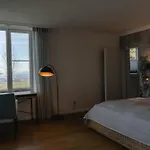 別荘 Panoramalodge ザマーベルク