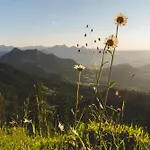 別荘 Panoramalodge